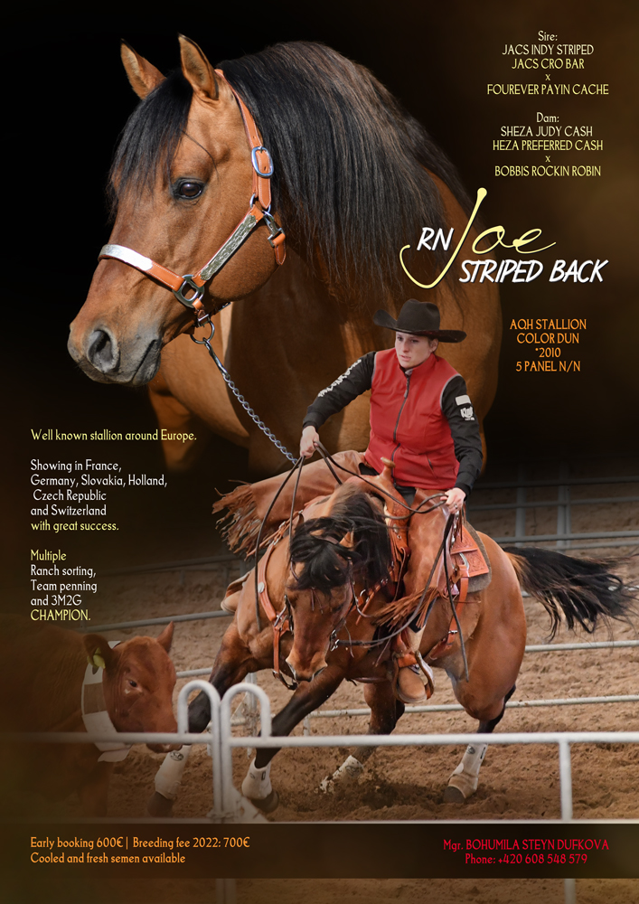 RN Joe Striped Back - American Quarter Horse
