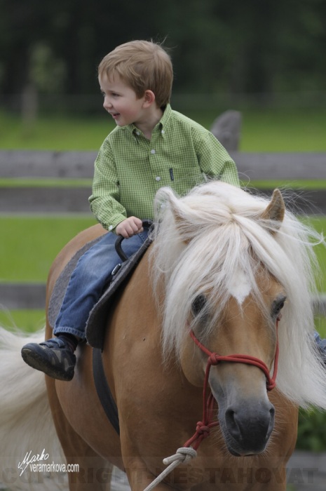 dítě a kůň