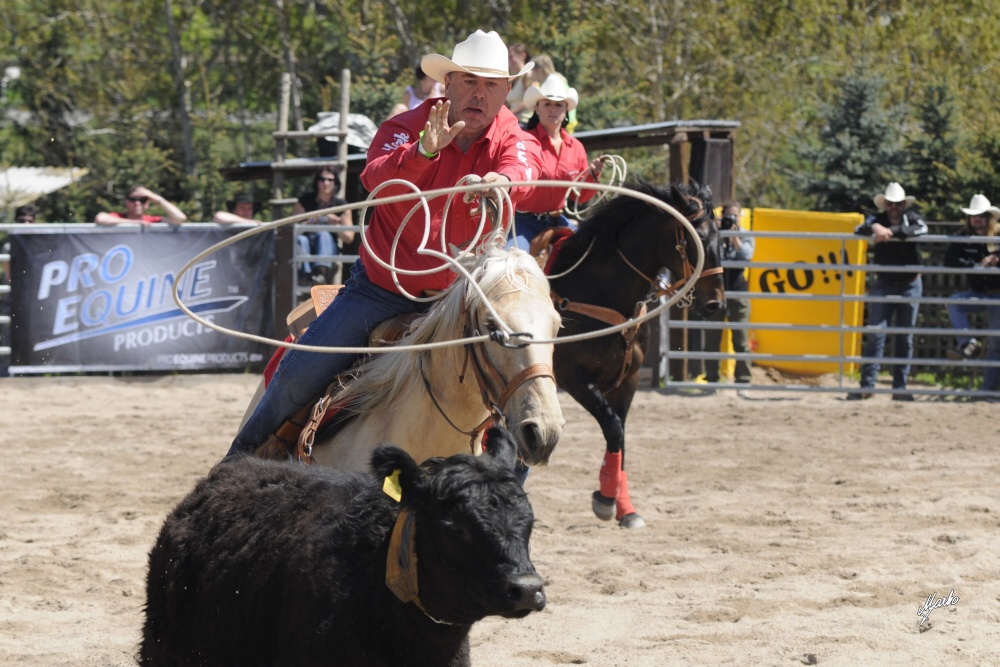 California Ranch Roping