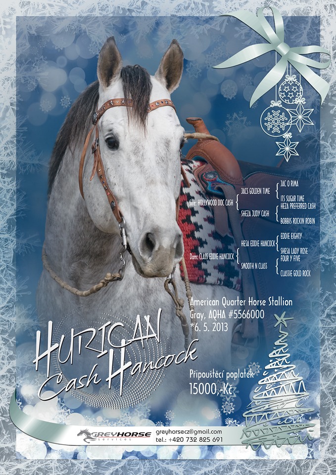 American Quarter Horse Hurican Cash Hancock