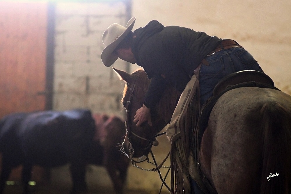 vaquero