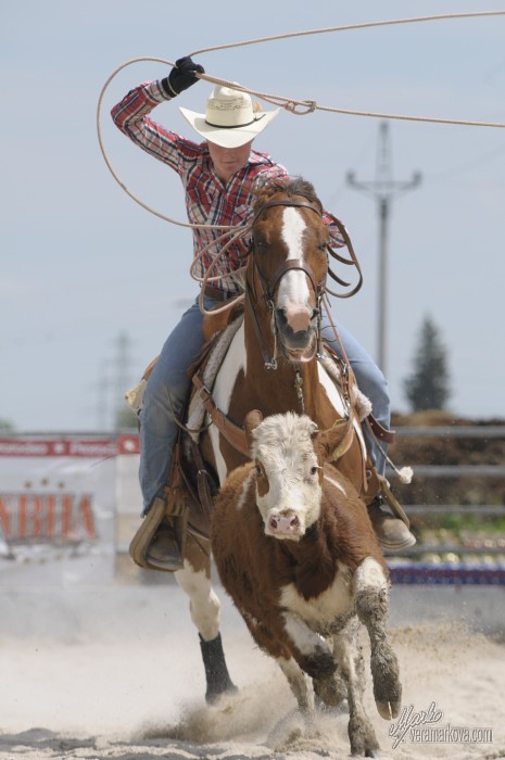 PRORODEO