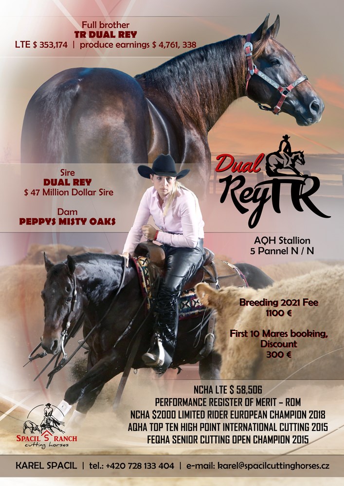 American Quarter Horse Dual Rey TR