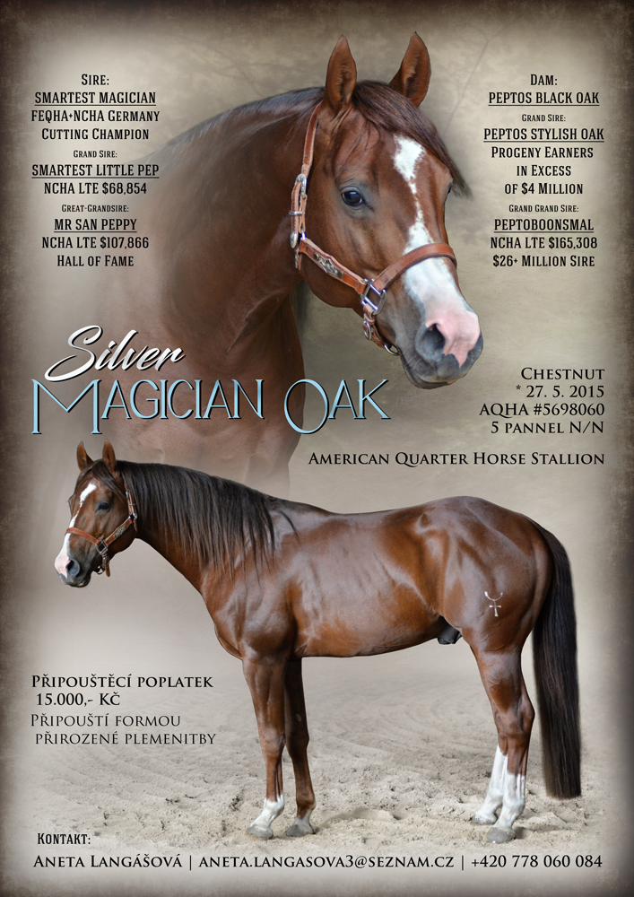 American Quarter Horse