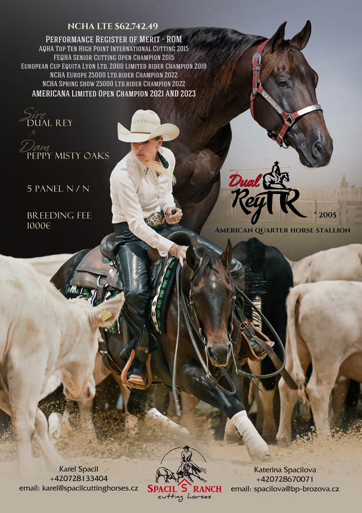 Dual Rey TR - American Quarter Horse