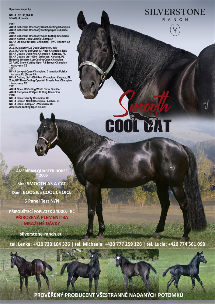 Smooth Cool Cat - American Quarter Horse