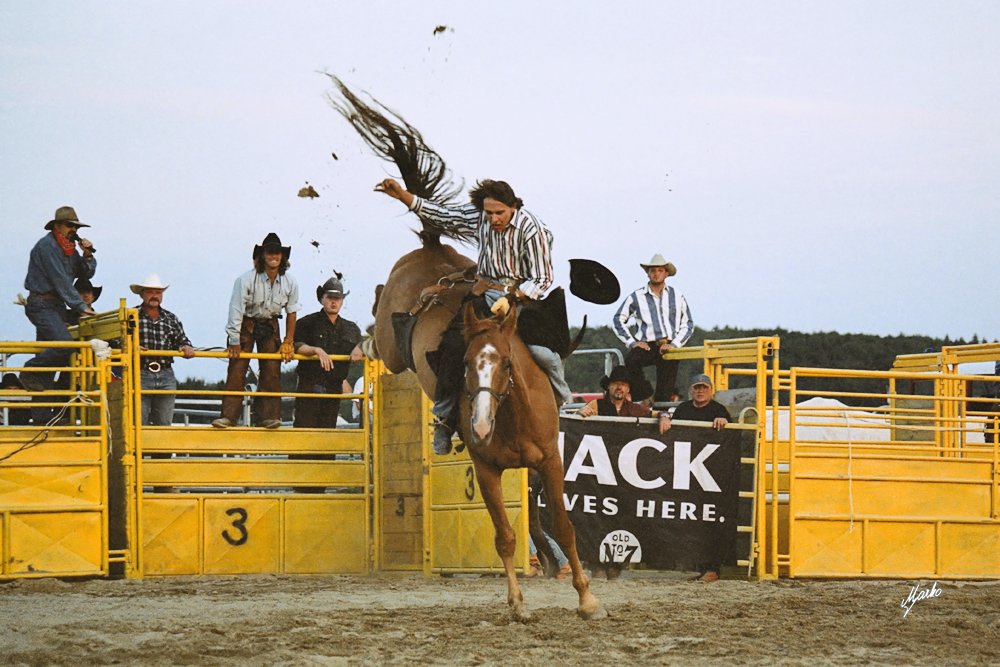 Cowboys rodeo