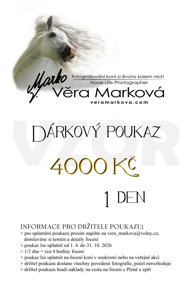 dárkový poukaz 1 den focení