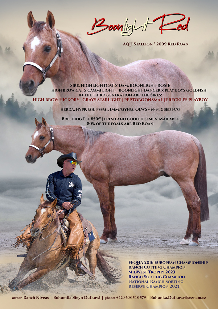 Boonlight Red - American Quarter Horse