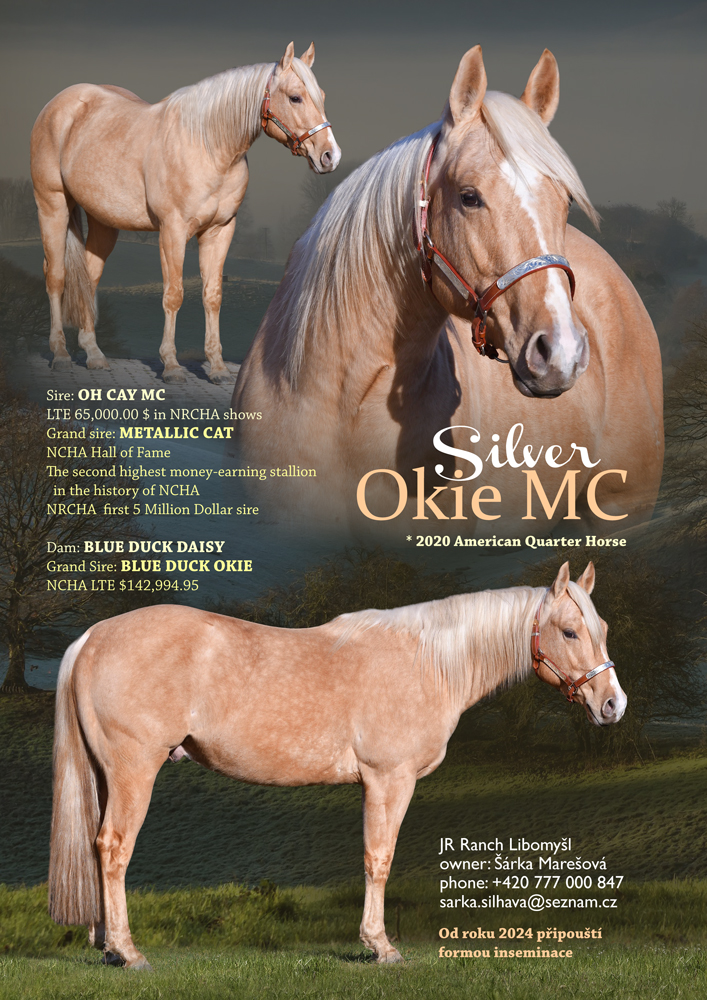 Silver Okie MC - American Quarter Horse