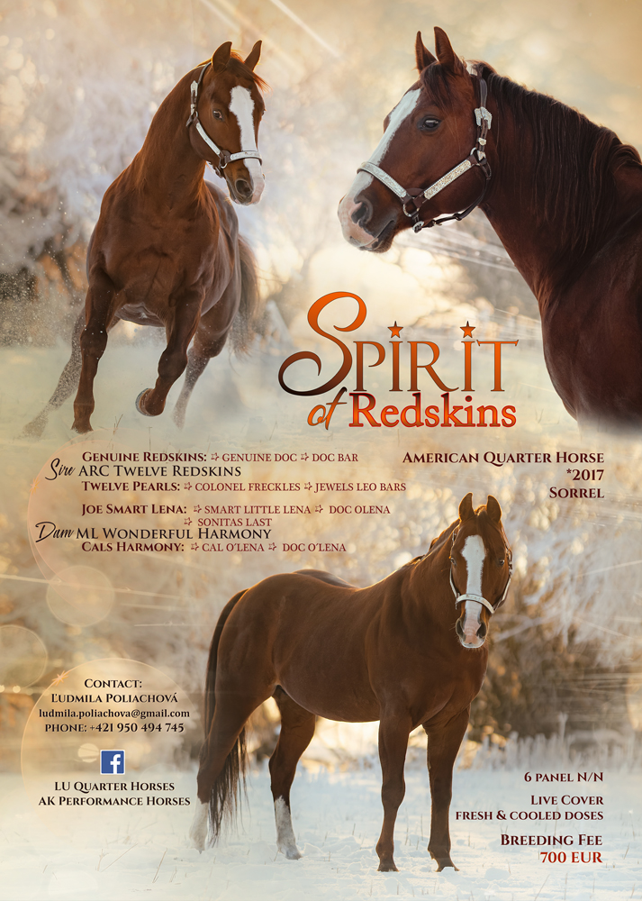 Spirit Of Redskins