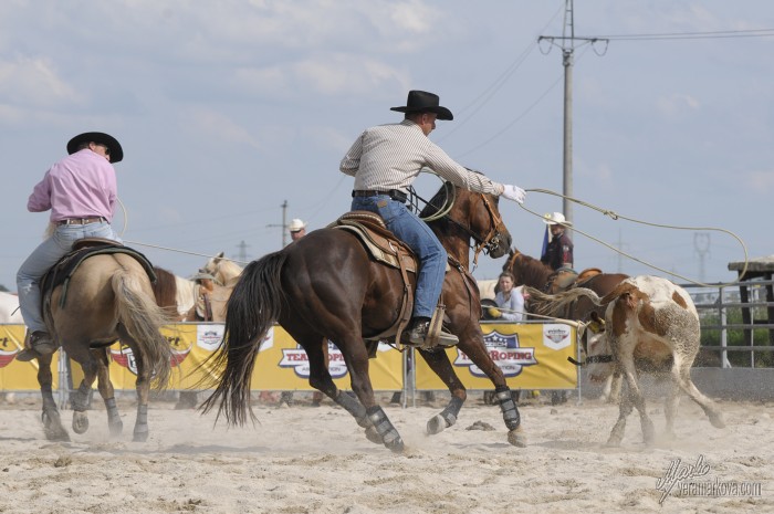 PRORODEO
