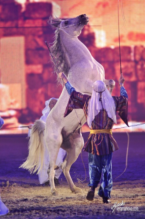 Equitana 2009