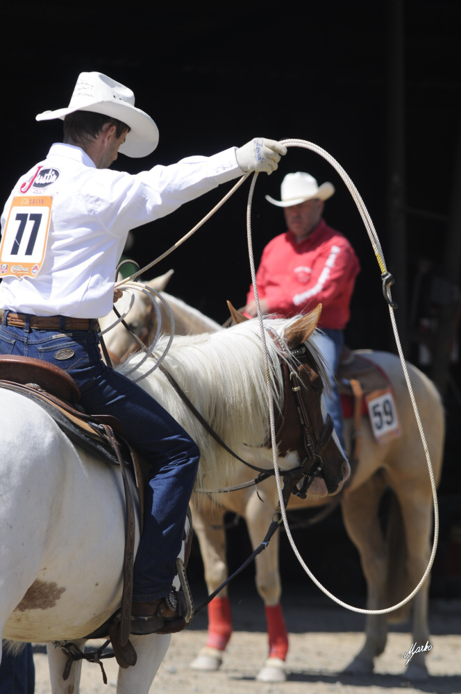 Pro rodeo