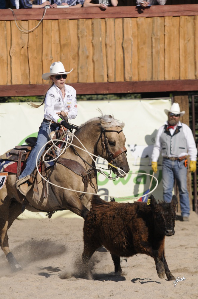 Ranch Roping