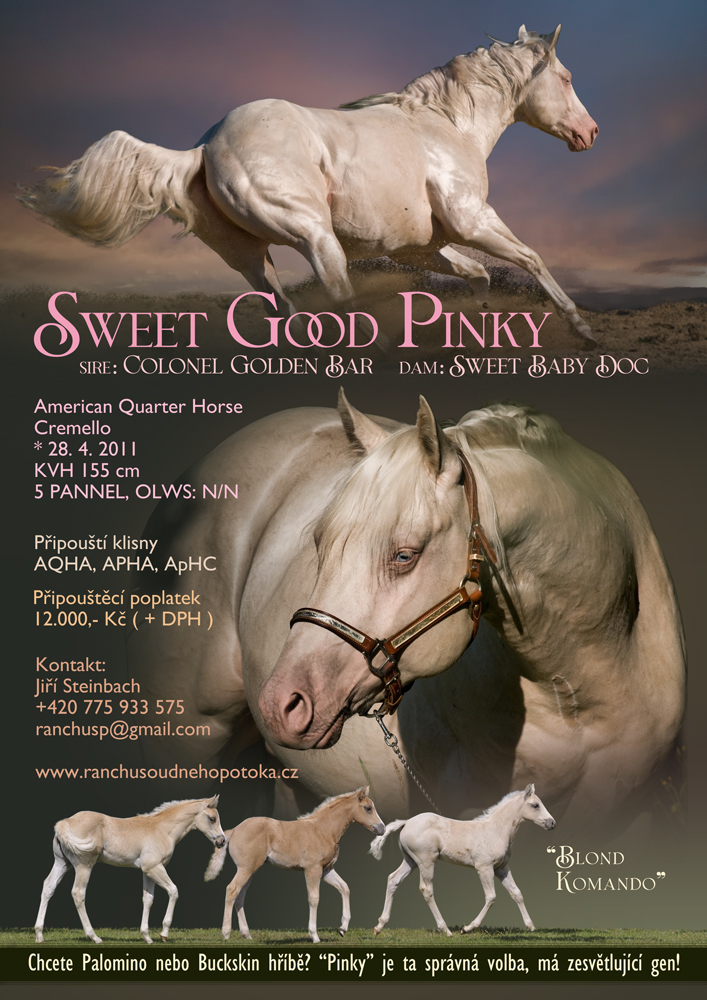Sweet Good Pinky - American Quarter Horse