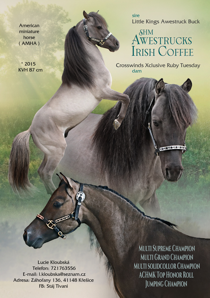 SHM Awestrucks Irish Coffee