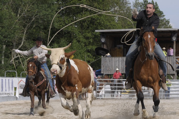 PRORODEO