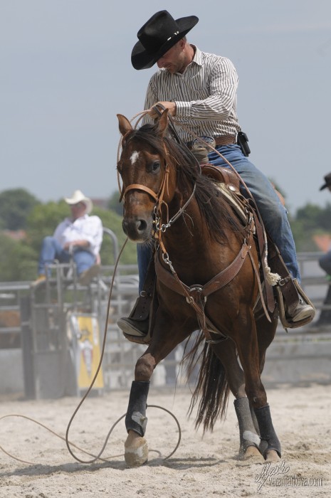 PRORODEO