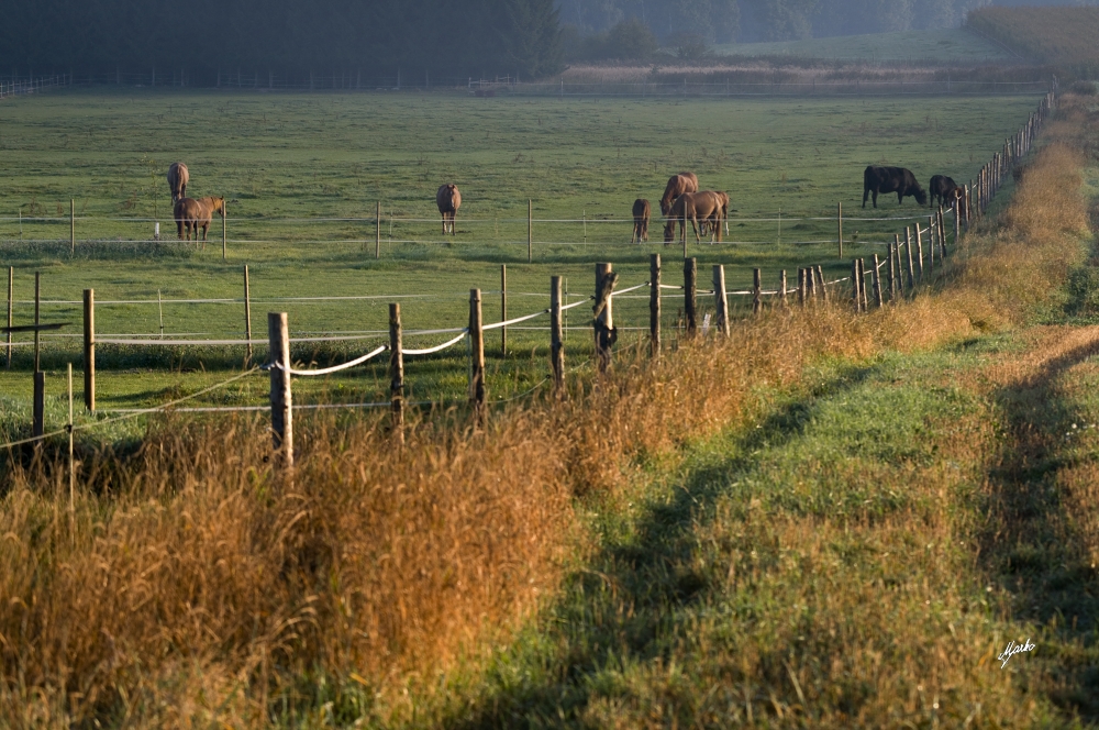 Pastviny Ranch 28