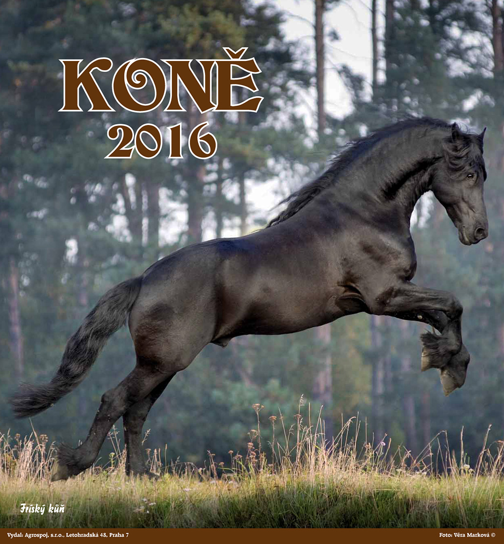 Agrospoj nástěnný kalendář koně 2016