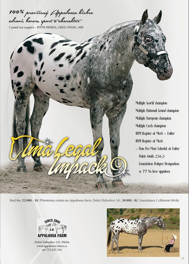 Appaloosa Ima Legal Impack