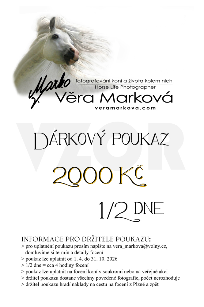 dárkový poukaz 1-2 dne focení