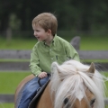 dítě a kůň | fotografie