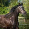 Tork | fotografie