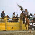 Cowboys rodeo | fotografie