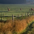 Pastviny Ranch 28 | fotografie