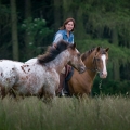 Appaloosa | fotografie